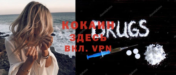 тгк Няндома