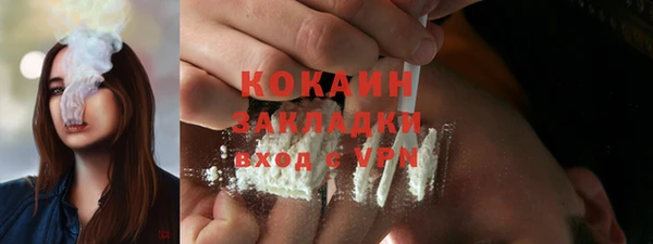 тгк Няндома
