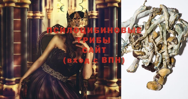 стаф Нягань