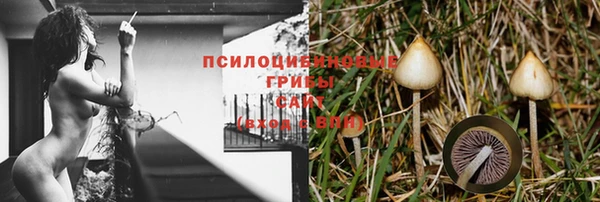 стаф Нягань